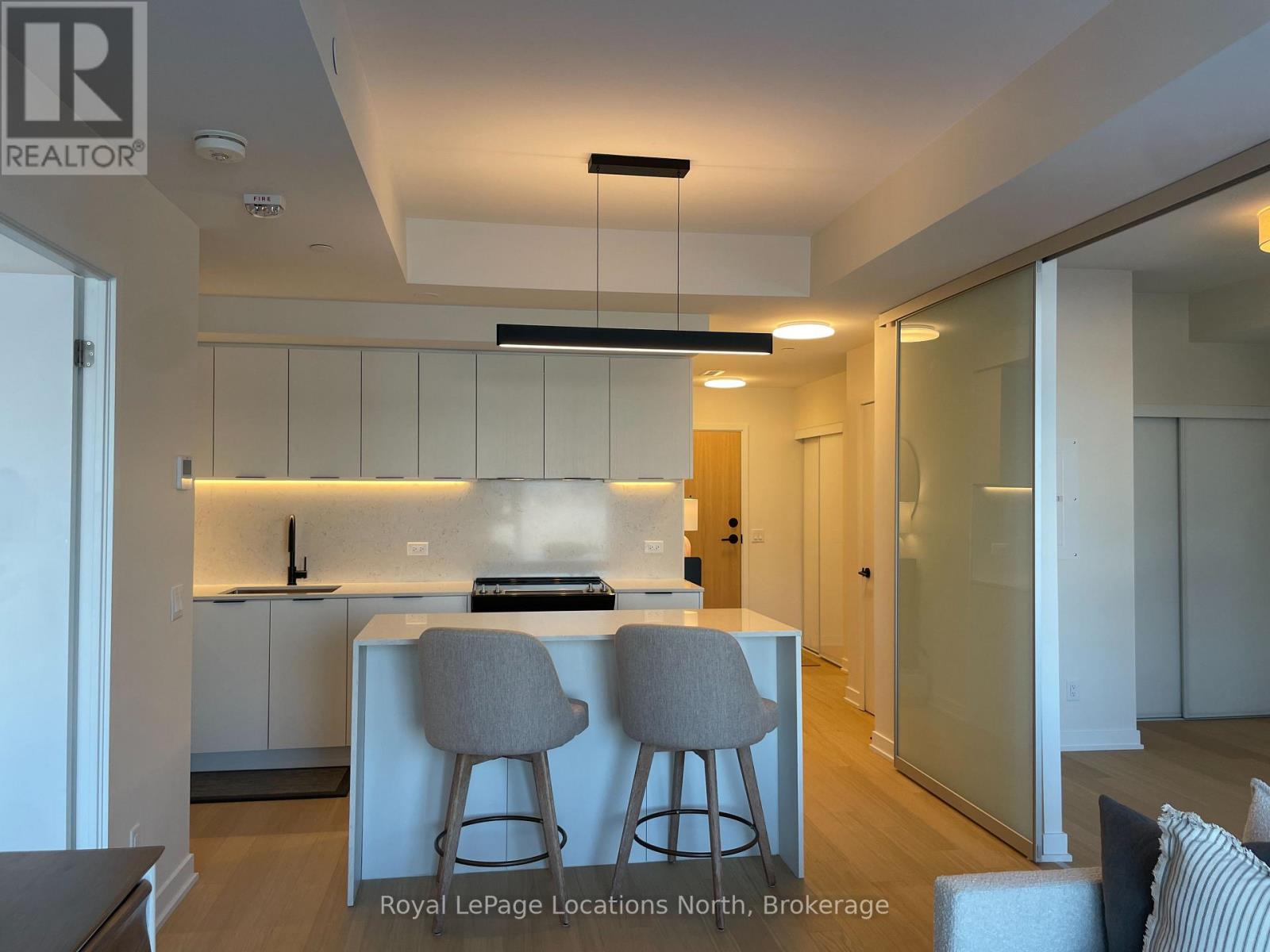 204 - 31 Huron Street, Collingwood, Ontario L9Y 5T7 - Photo 10 - S12718538