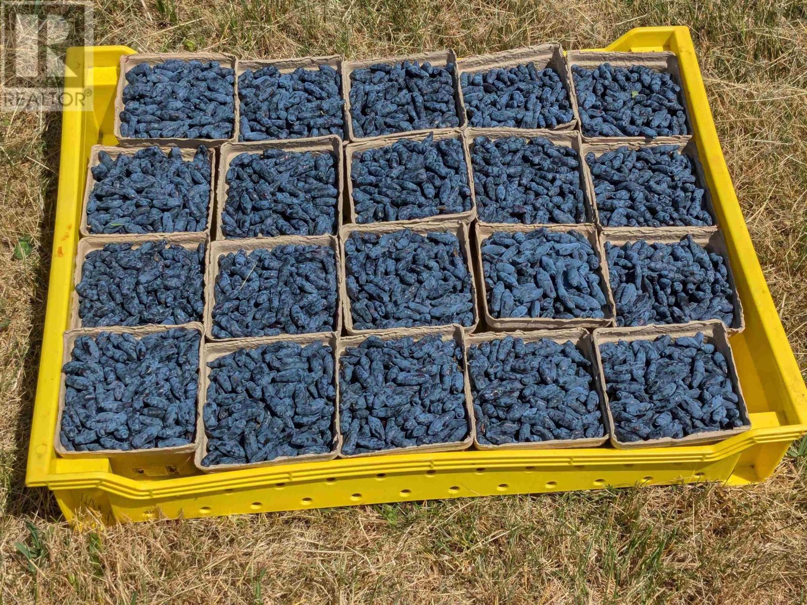 25-1 28b Mines Road, Upper Falmouth, Nova Scotia  B0P 1L0 - Photo 2 - 202601145