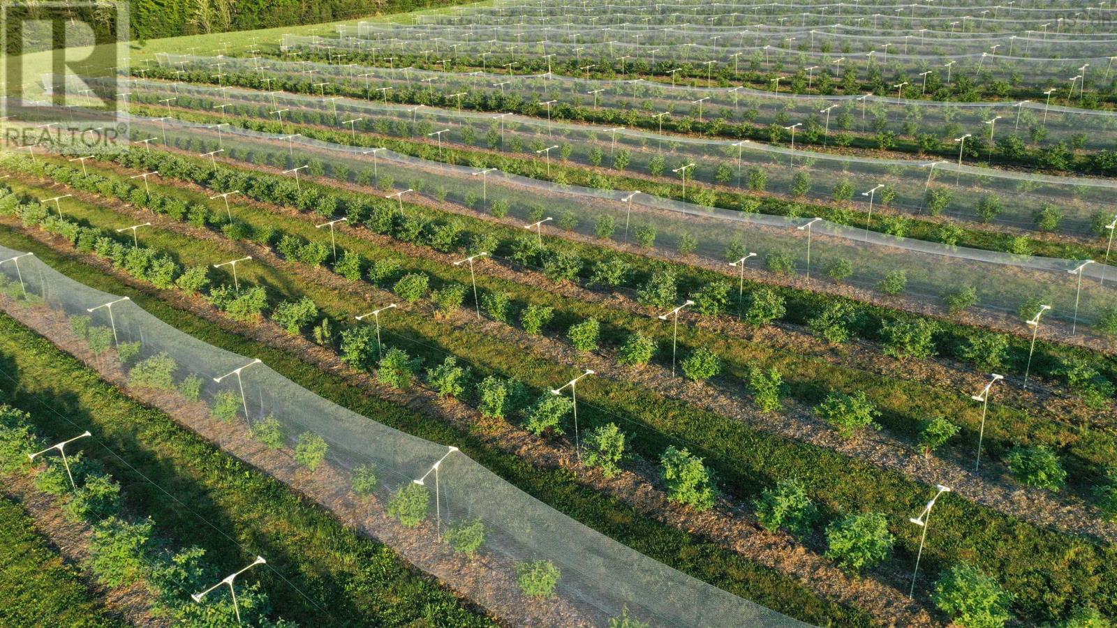 25-1 28b Mines Road, Upper Falmouth, Nova Scotia  B0P 1L0 - Photo 6 - 202601145