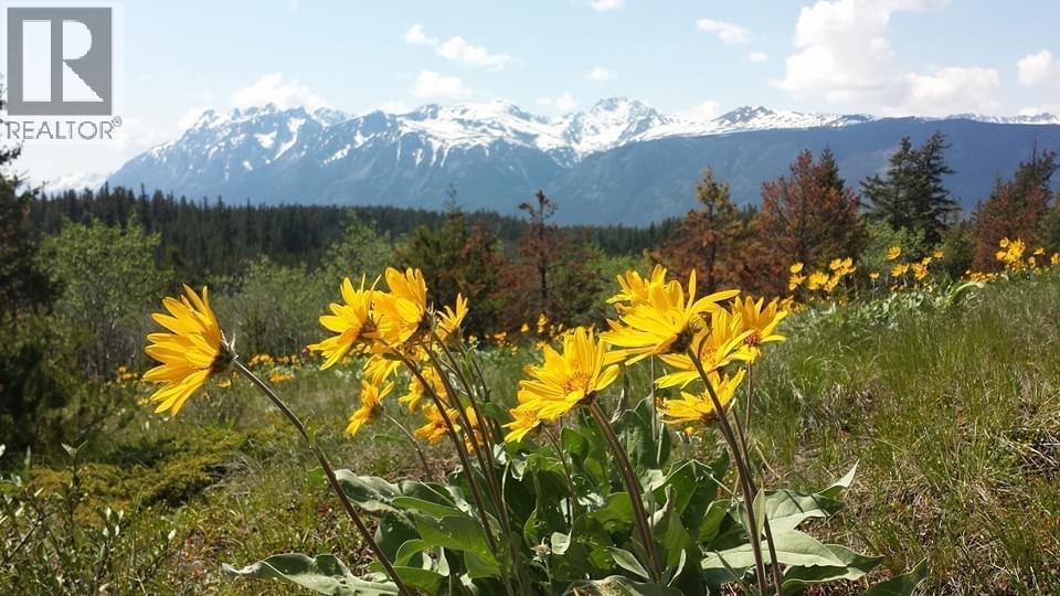 6775 Tatlayoko Road, Williams Lake, British Columbia  V0L 1W0 - Photo 10 - C8075389