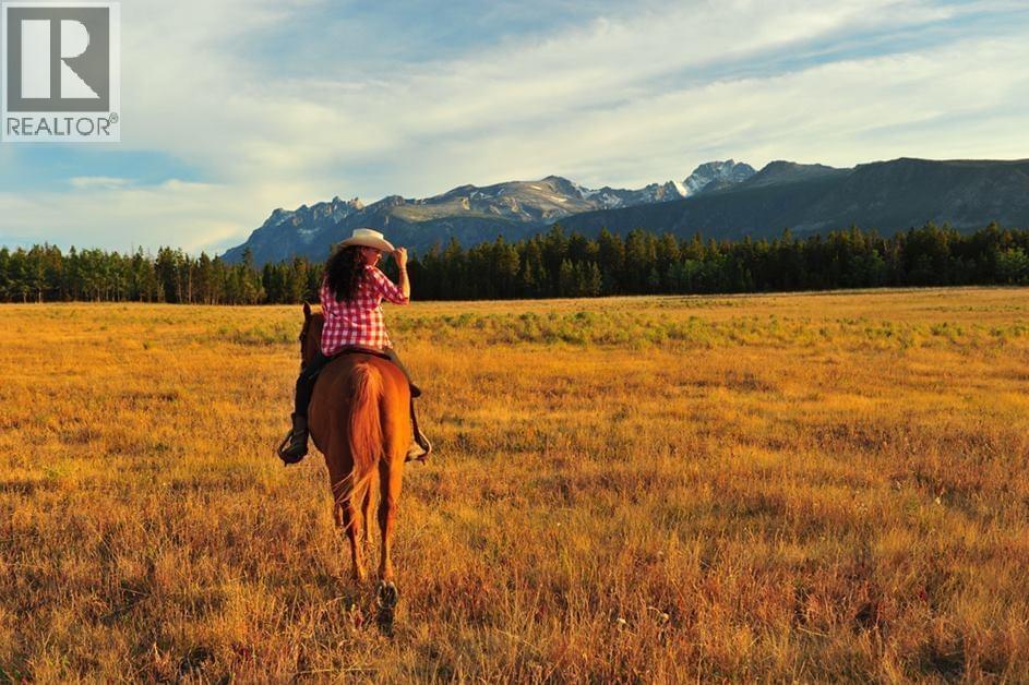 6775 Tatlayoko Road, Williams Lake, British Columbia  V0L 1W0 - Photo 7 - C8075389