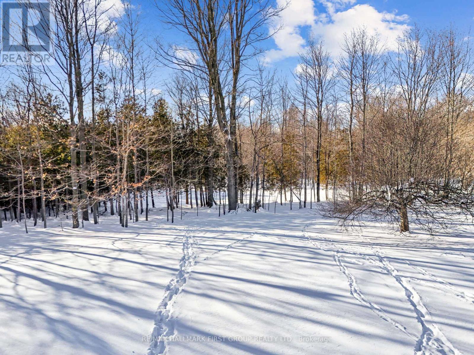 426 Gully Road, Alnwick/haldimand, Ontario K9A 4J8 - Photo 16 - X12718874