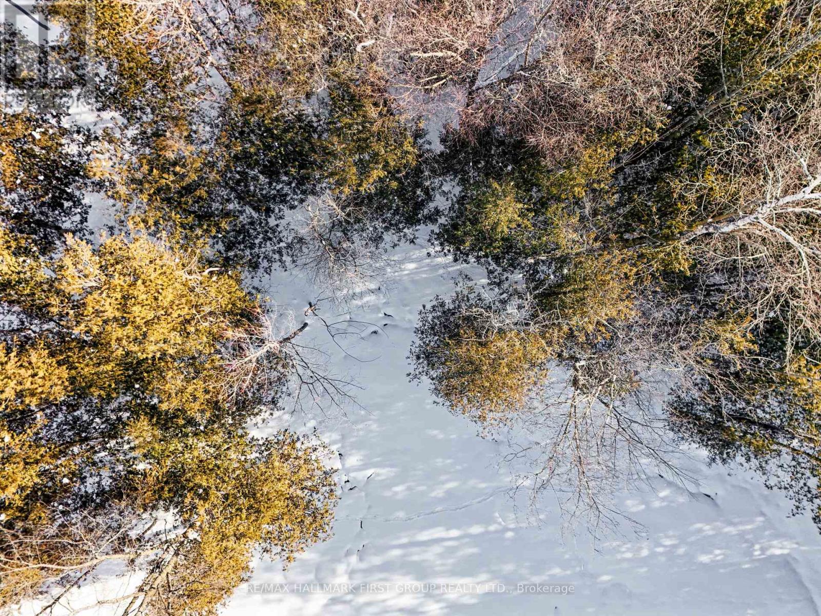 426 Gully Road, Alnwick/haldimand, Ontario K9A 4J8 - Photo 20 - X12718874