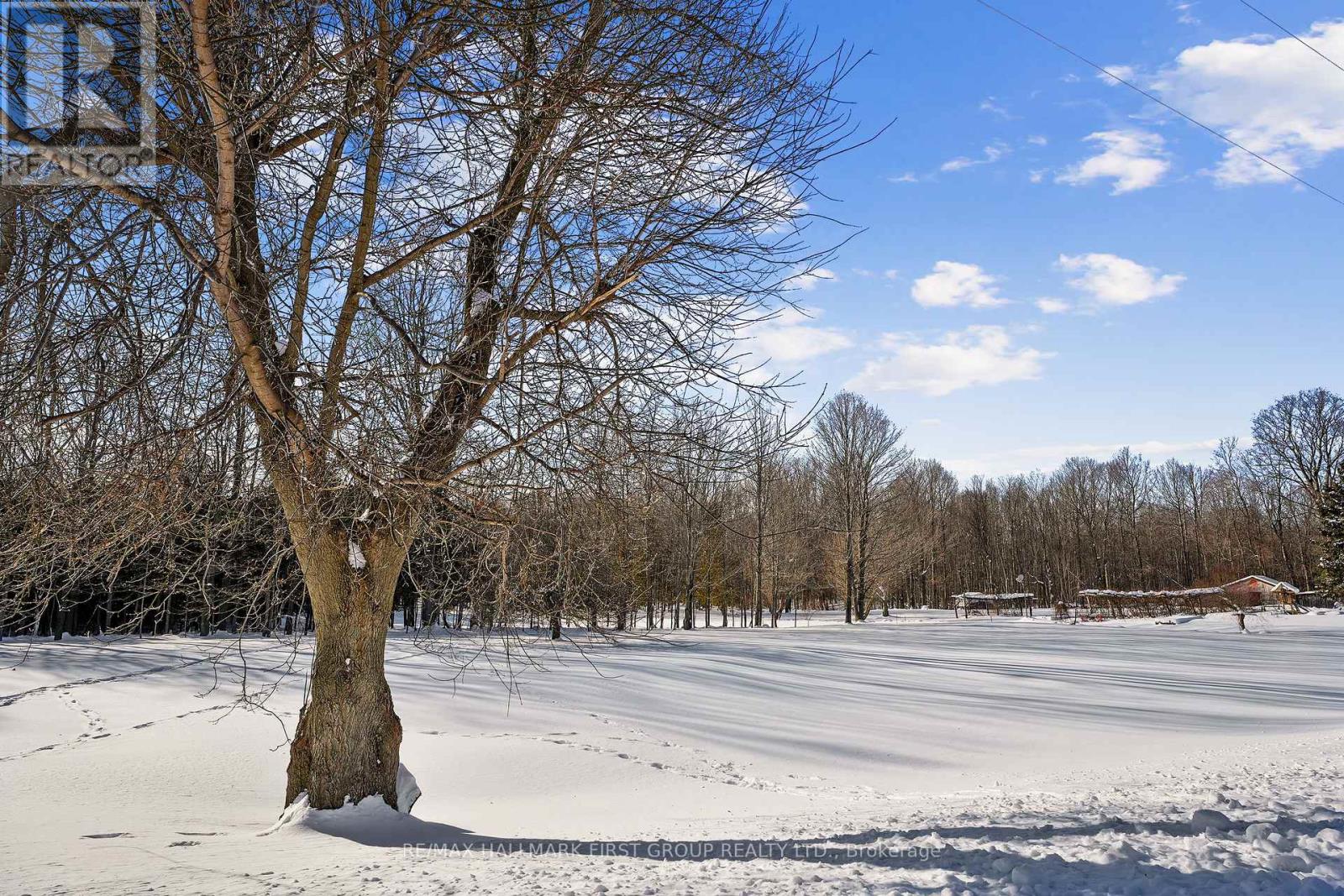 426 Gully Road, Alnwick/haldimand, Ontario  K9A 4J8 - Photo 26 - X12718874