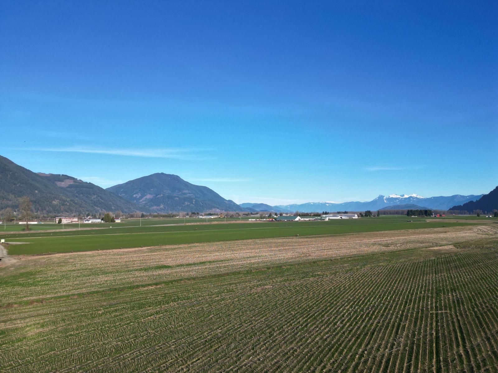 49ac Hyde Buker Road, Mission, British Columbia  V0M 1H0 - Photo 4 - R3080459