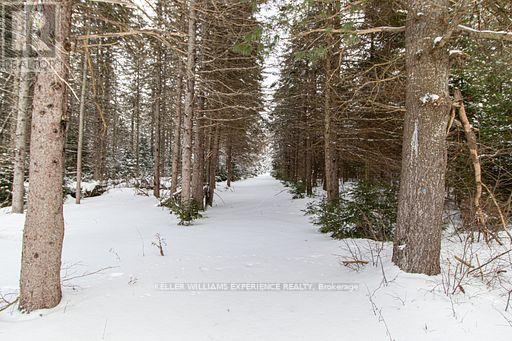 213 Yearley Road, Mcmurrich/monteith, Ontario  P0A 1Y0 - Photo 41 - X12719022