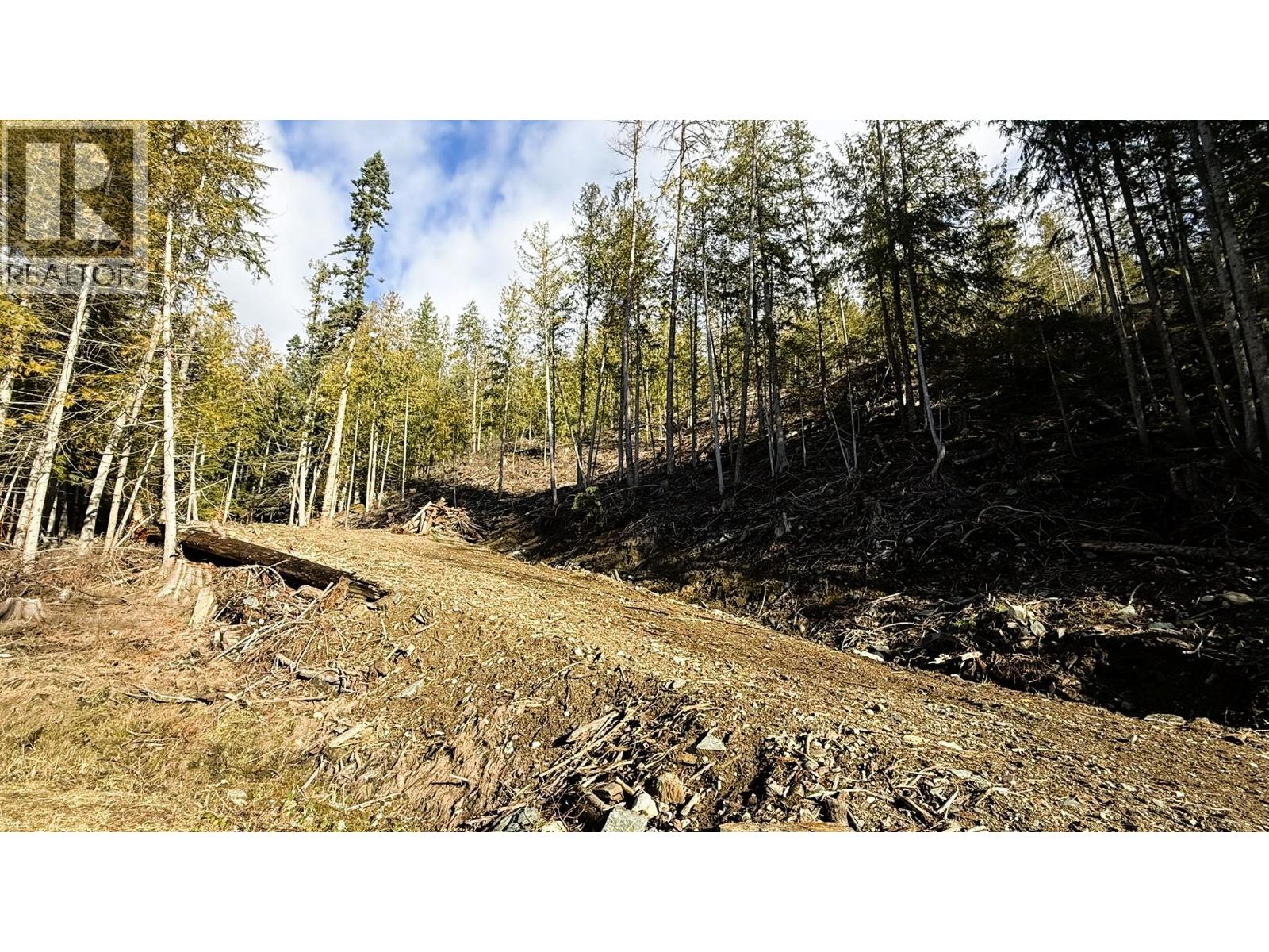 12608 Highway 3a Highway Lot# Parcel C, Boswell, British Columbia  V0B 1A0 - Photo 42 - 10372426