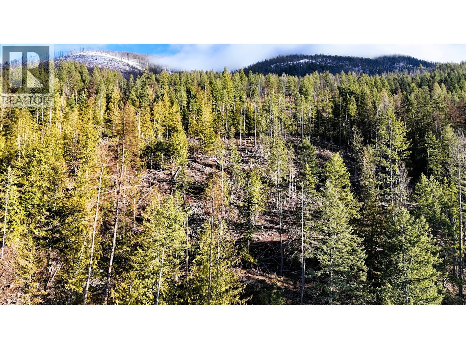 12608 Highway 3a Highway Lot# Parcel C, Boswell, British Columbia  V0B 1A0 - Photo 43 - 10372426