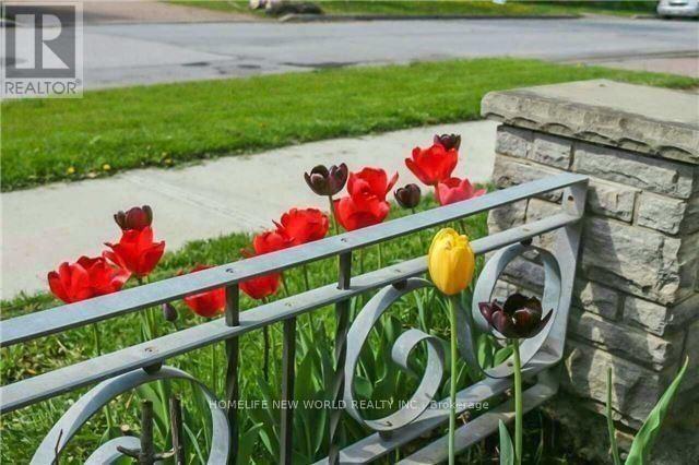 298 Mckee Avenue, Toronto, Ontario  M2N 4E3 - Photo 8 - C12719114