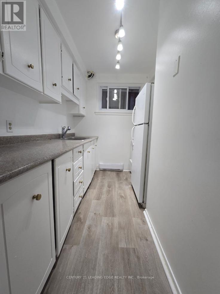 Basement - 47 Chapman Avenue, Toronto, Ontario  M4B 1C6 - Photo 3 - E12719120