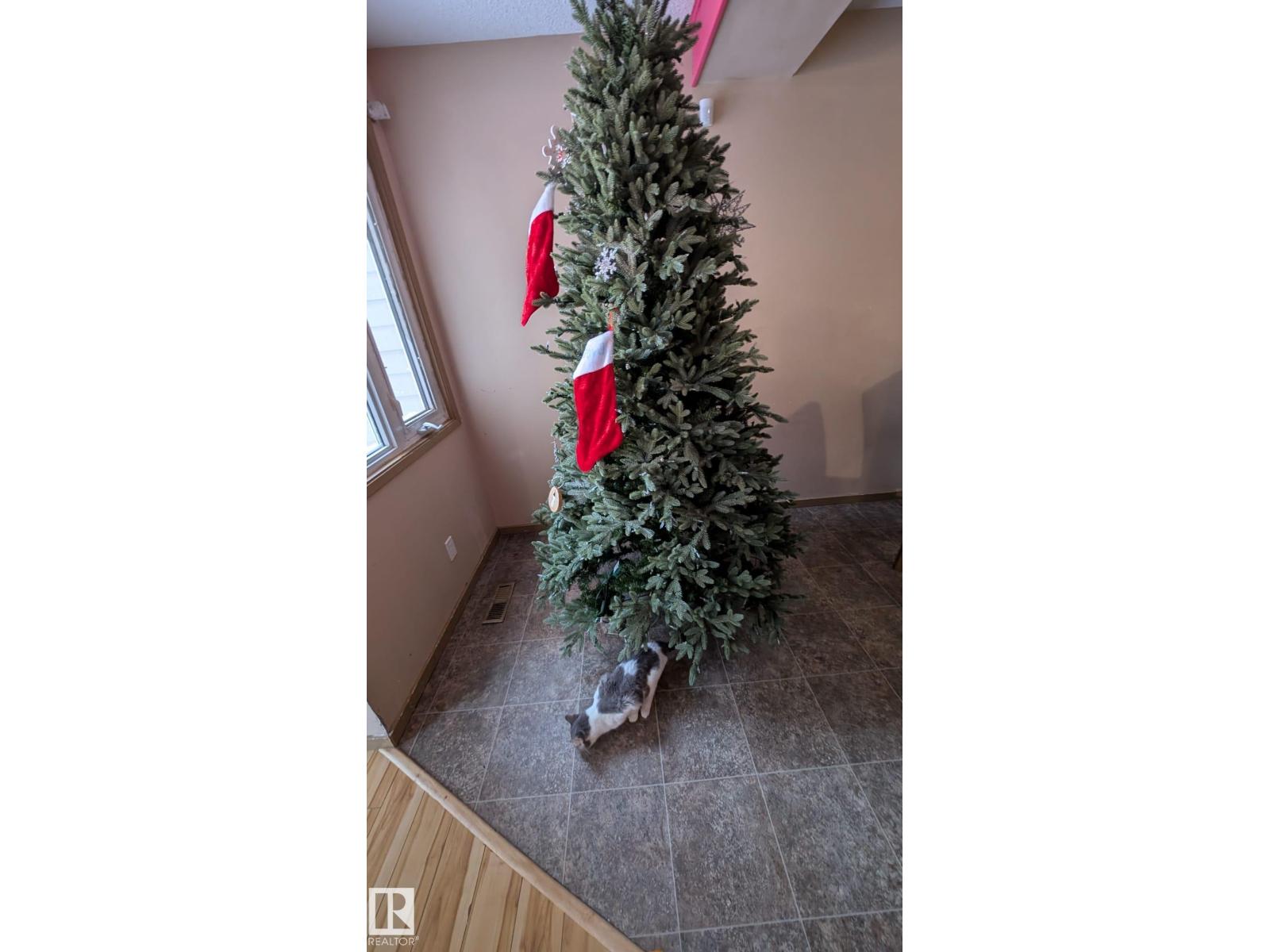 4 Amberly Ct Nw, Edmonton, Alberta  T5A 2H9 - Photo 7 - E4468388