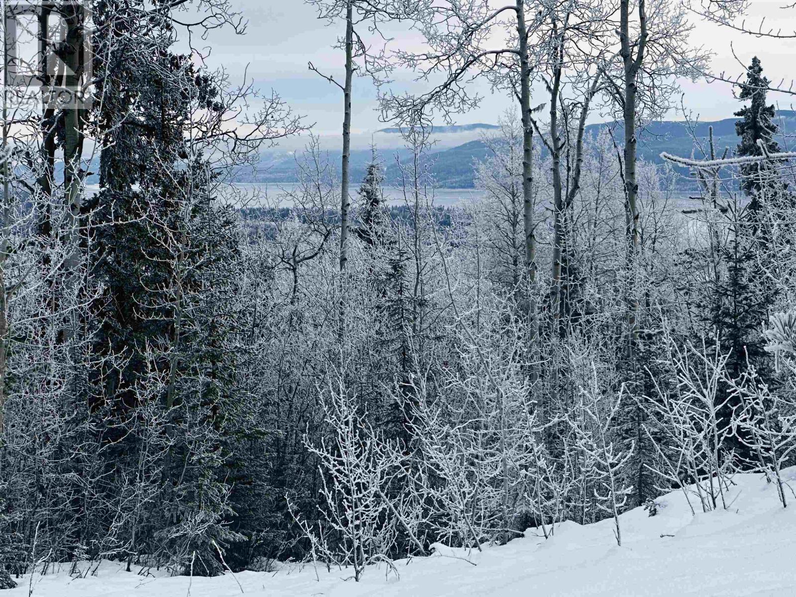 Lot A Bald Hill Road, Burns Lake, British Columbia  V0J 1E0 - Photo 3 - R3082076