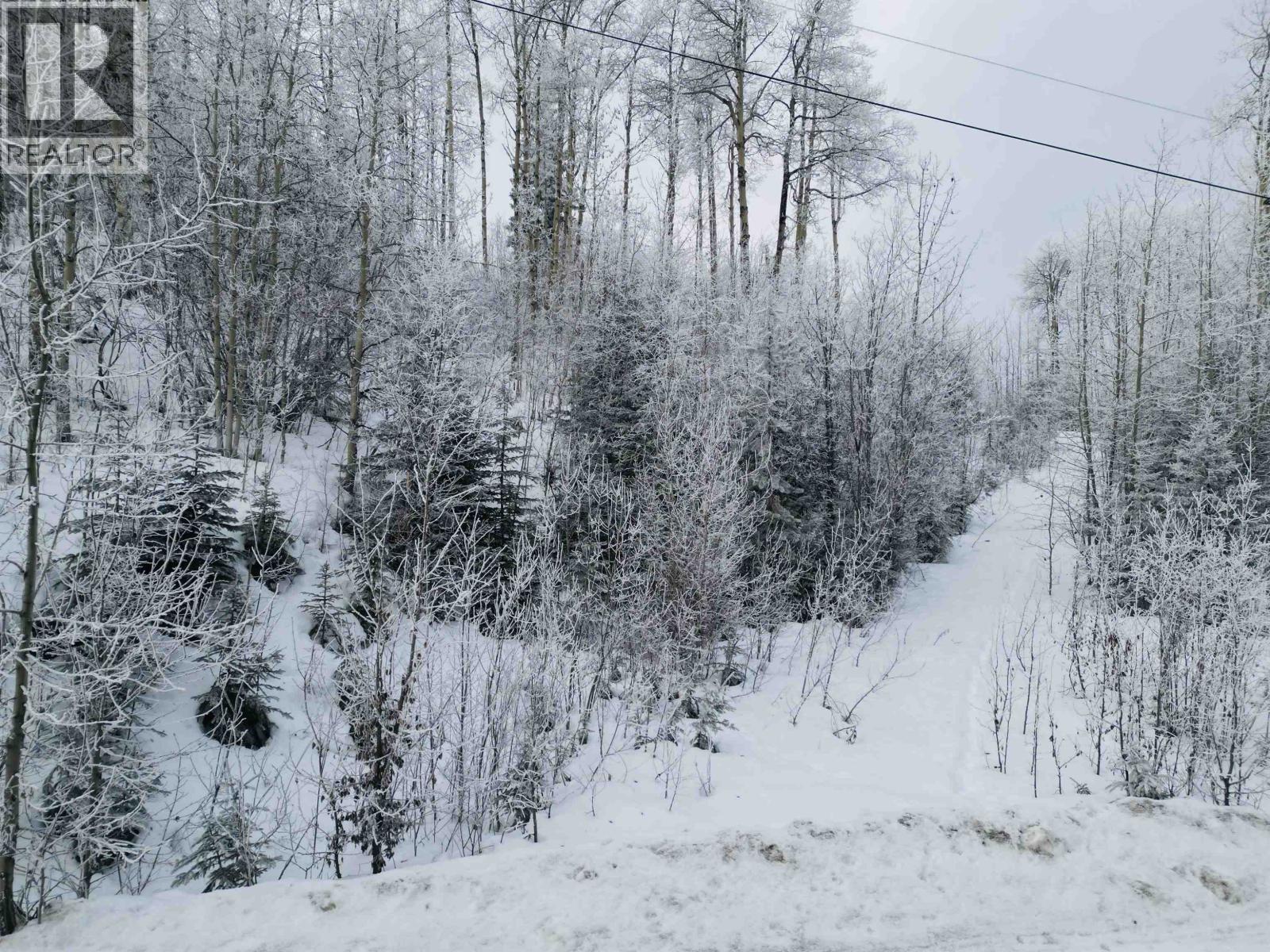 Lot A Bald Hill Road, Burns Lake, British Columbia  V0J 1E0 - Photo 6 - R3082076