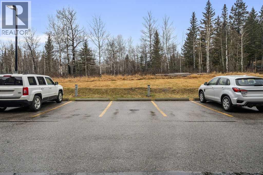 323, 300 Palliser Lane, Canmore, Alberta  T1W 0H5 - Photo 39 - A2270975