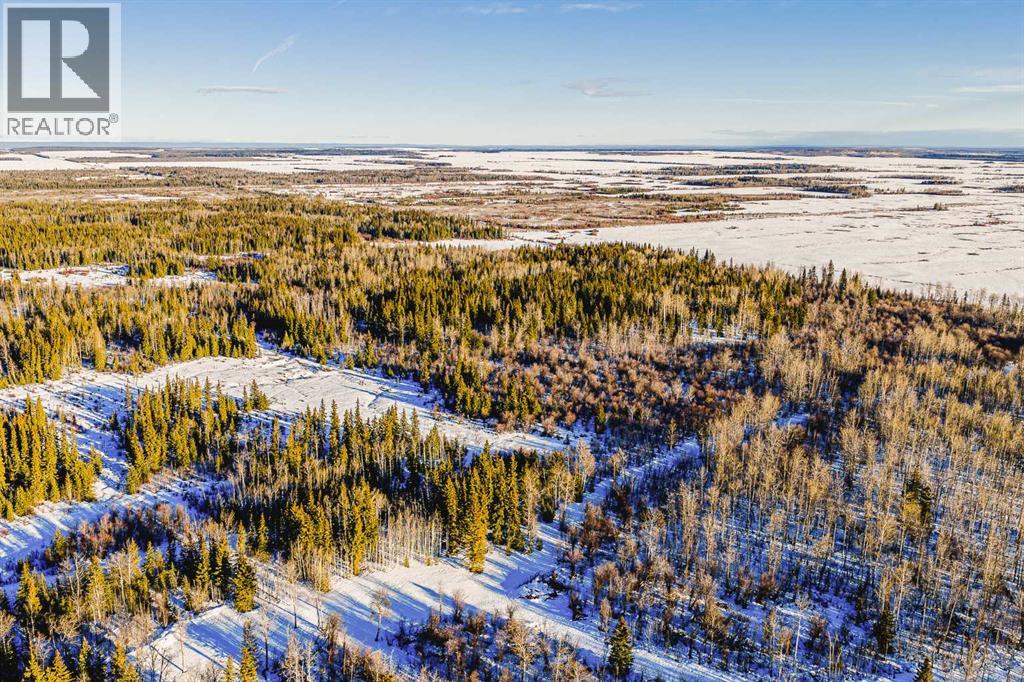 Se-13-81-10-W6 Twp Rd 812, Rural Saddle Hills County, Alberta  T0H 3G0 - Photo 9 - A2276197