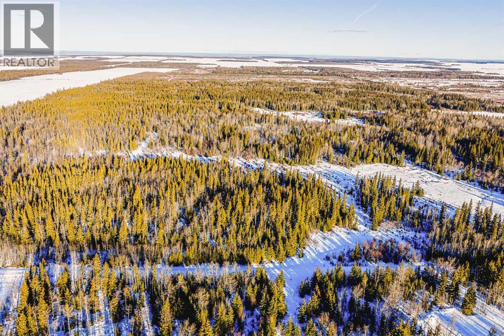 Se-13-81-10-W6 Twp Rd 812, Rural Saddle Hills County, Alberta  T0H 3G0 - Photo 8 - A2276197