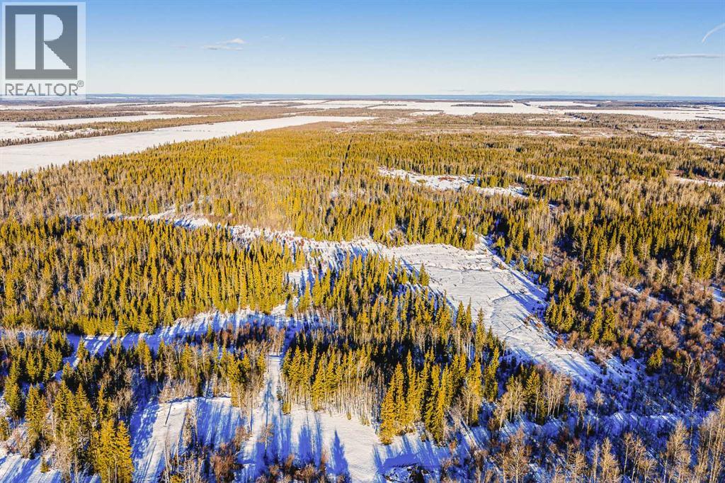 Se-13-81-10-W6 Twp Rd 812, Rural Saddle Hills County, Alberta  T0H 3G0 - Photo 10 - A2276197