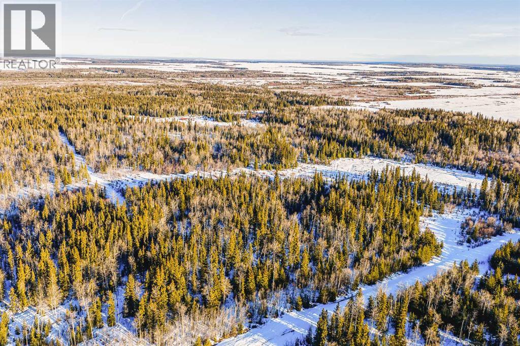 Se-13-81-10-W6 Twp Rd 812, Rural Saddle Hills County, Alberta  T0H 3G0 - Photo 7 - A2276197