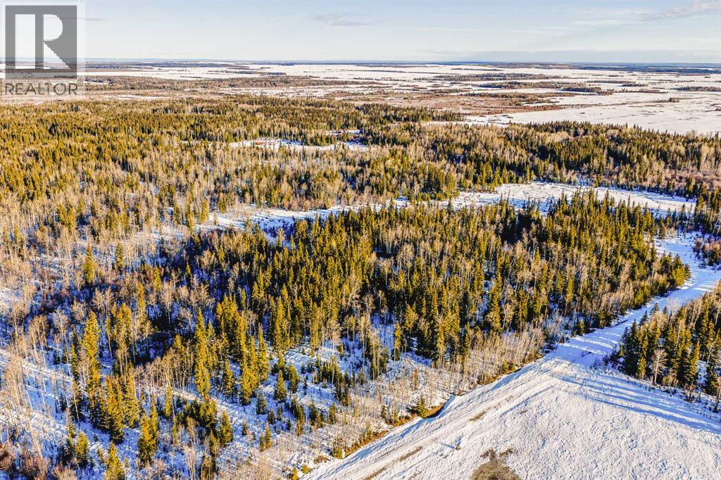 Se-13-81-10-W6 Twp Rd 812, Rural Saddle Hills County, Alberta  T0H 3G0 - Photo 6 - A2276197