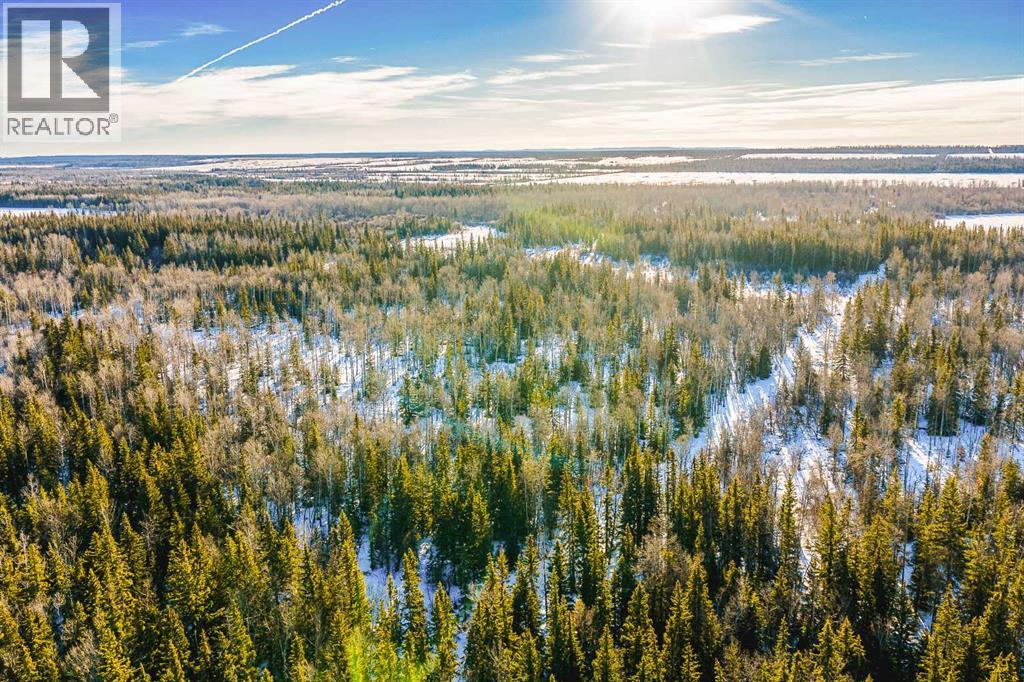 Se-13-81-10-W6 Twp Rd 812, Rural Saddle Hills County, Alberta  T0H 3G0 - Photo 30 - A2276197