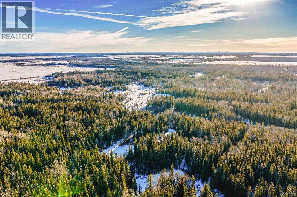 Se-13-81-10-W6 Twp Rd 812, Rural Saddle Hills County, Alberta  T0H 3G0 - Photo 36 - A2276197