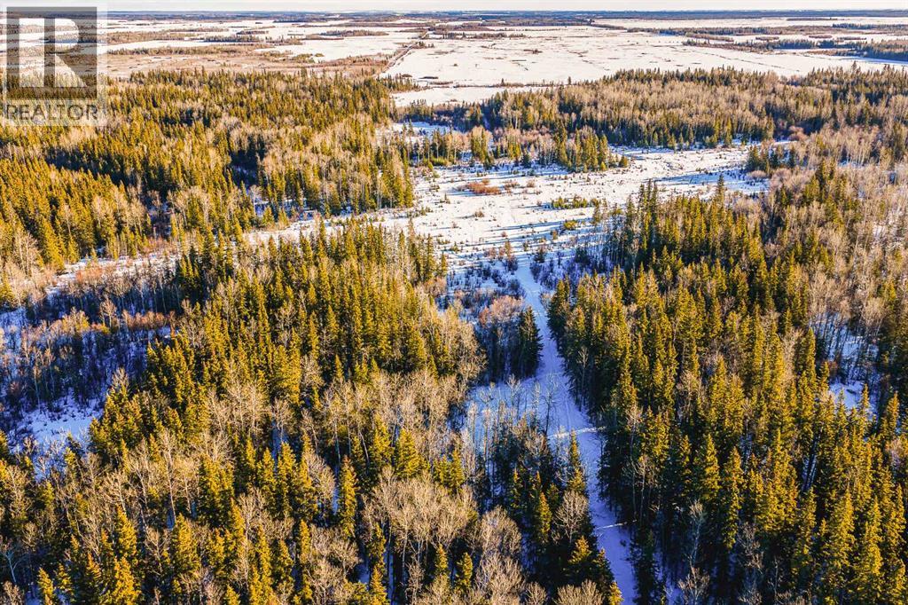 Se-13-81-10-W6 Twp Rd 812, Rural Saddle Hills County, Alberta  T0H 3G0 - Photo 31 - A2276197