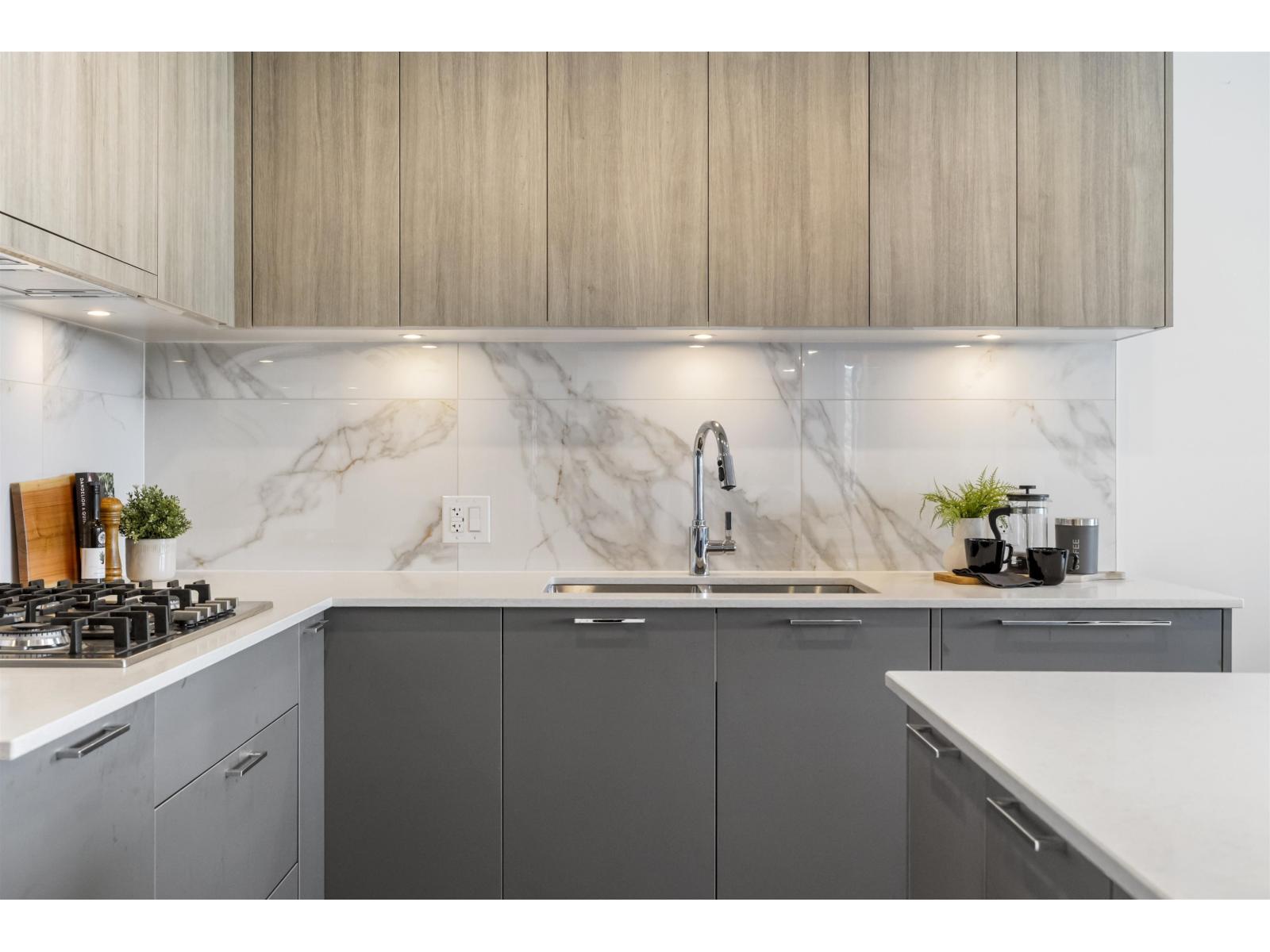 A303 20065 85 Avenue, Langley, British Columbia  V2Y 3Y5 - Photo 6 - R3080482