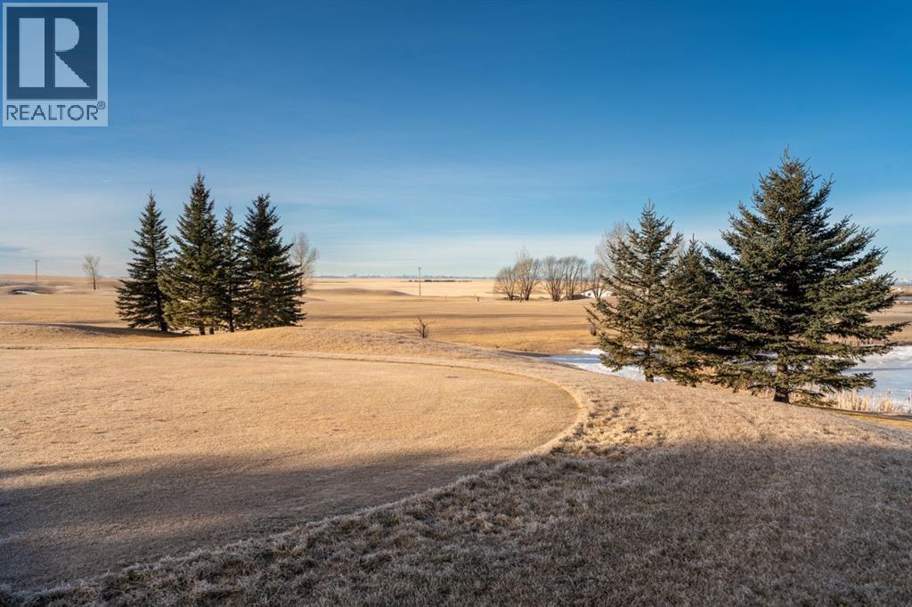 1007 Whispering Greens Court, Vulcan, Alberta  T0L 2B0 - Photo 6 - A2280141