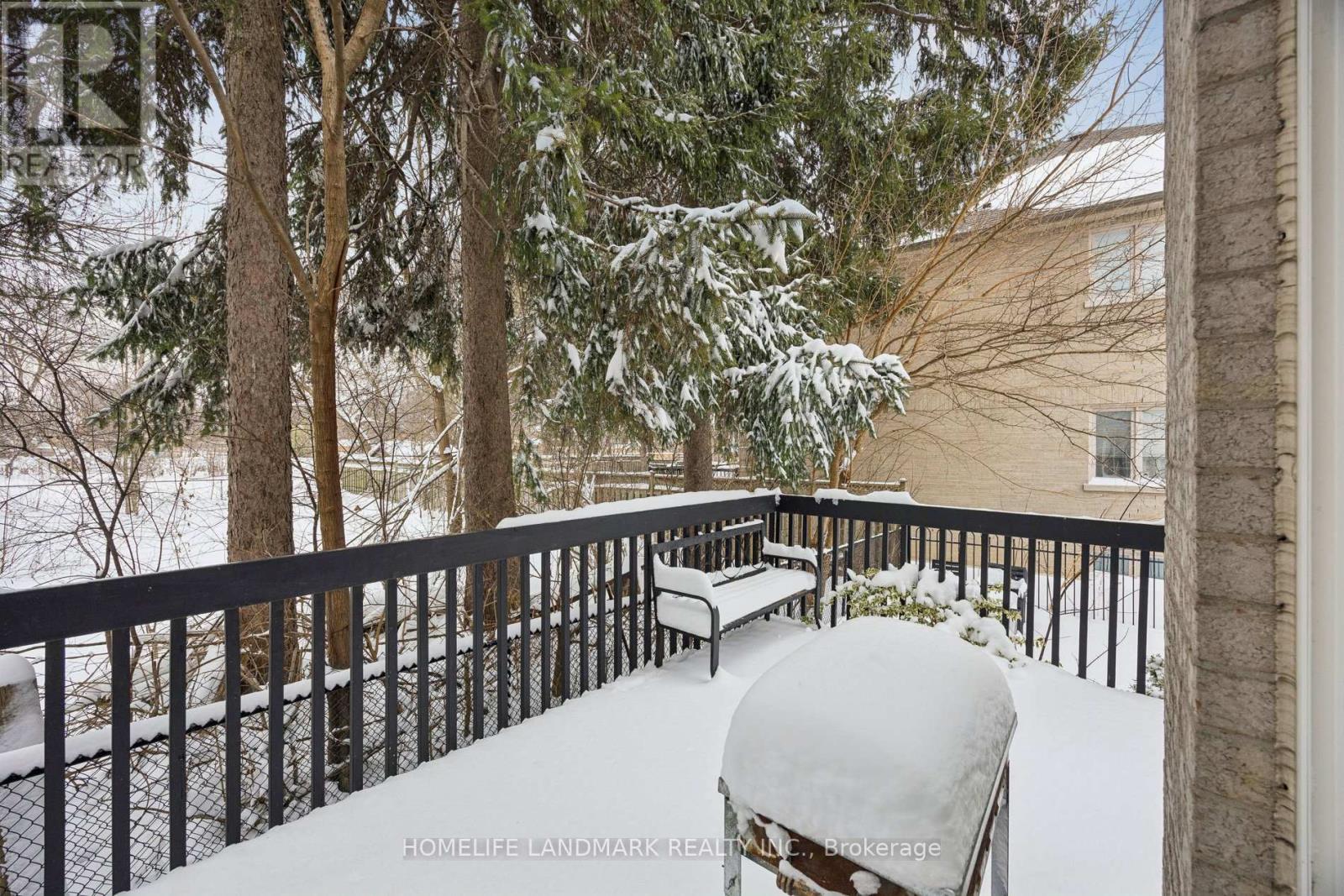 49 Pearson Avenue, Richmond Hill, Ontario  L4C 6T3 - Photo 41 - N12719340