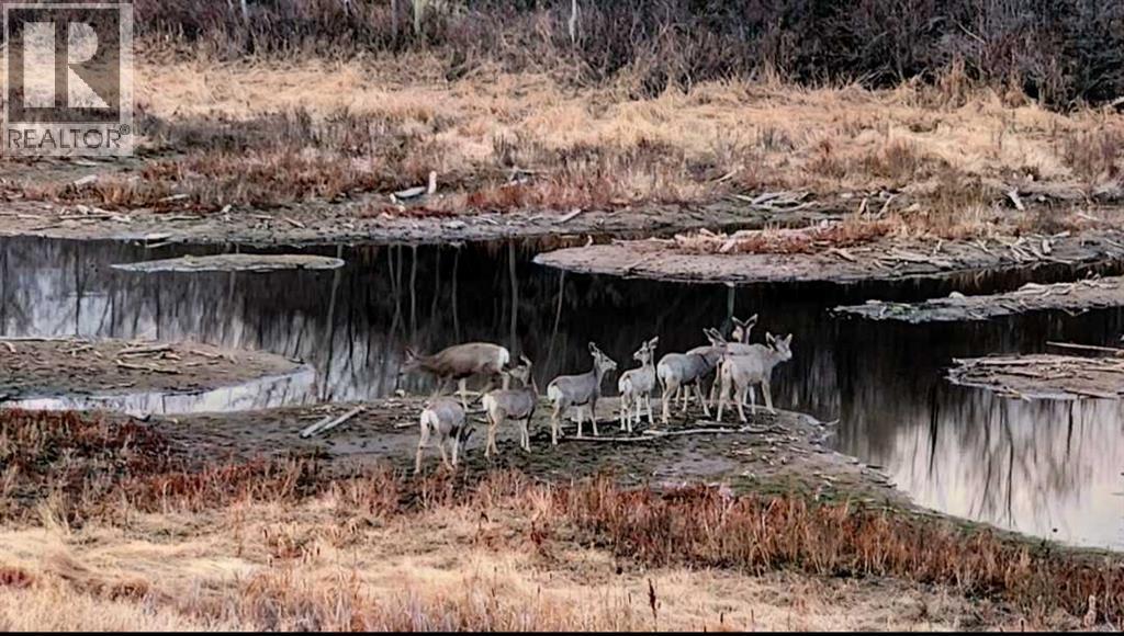 40225 Rr 19-2, Rural Stettler No. 6, Alberta  T0C 2L0 - Photo 38 - A2279487