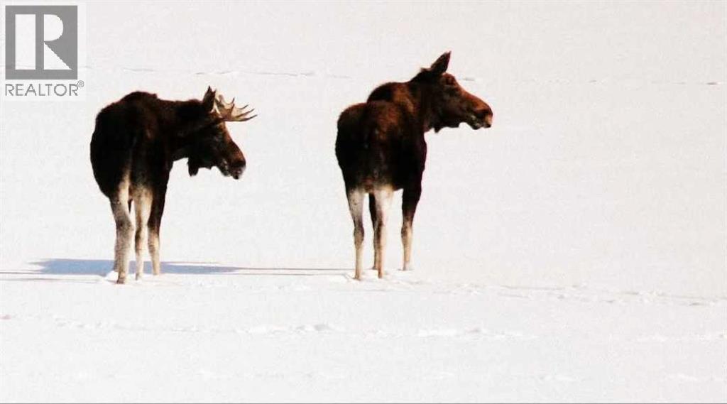 40225 Rr 19-2, Rural Stettler No. 6, Alberta  T0C 2L0 - Photo 44 - A2279487