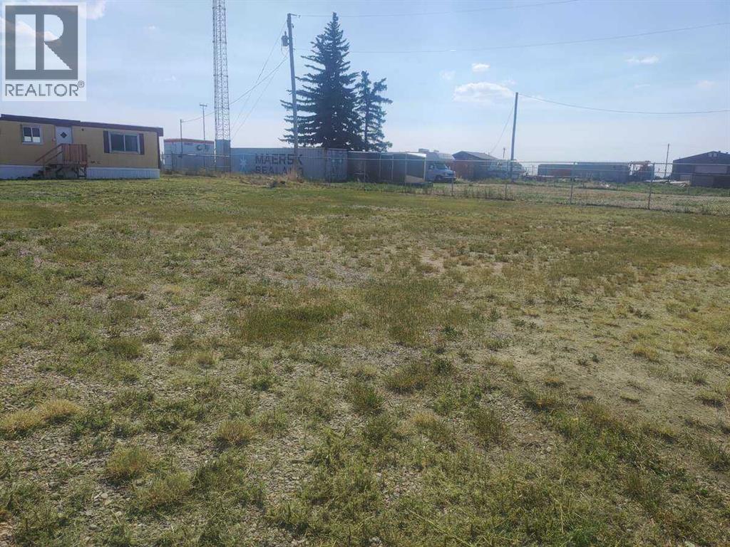 309 1st Avenue, Bassano, Alberta  T0J 0B0 - Photo 9 - A2190171