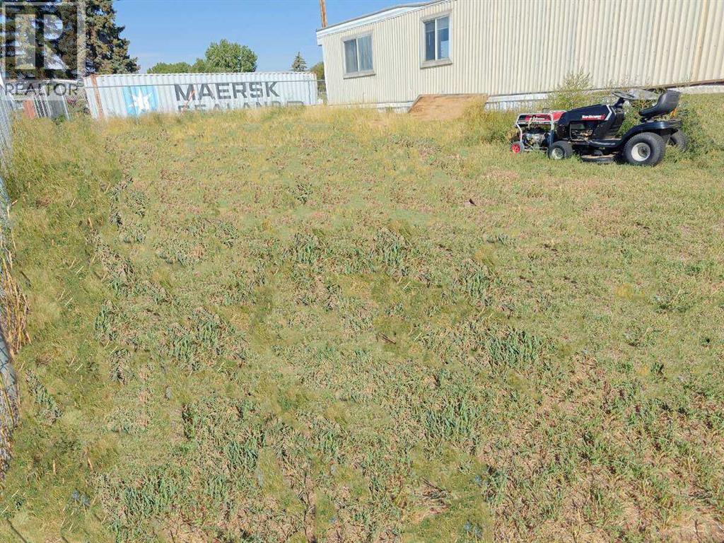 309 1st Avenue, Bassano, Alberta  T0J 0B0 - Photo 17 - A2190171