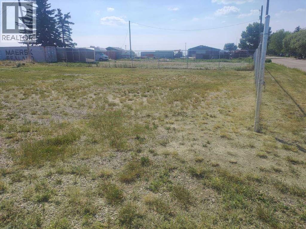 309 1st Avenue, Bassano, Alberta  T0J 0B0 - Photo 10 - A2190171