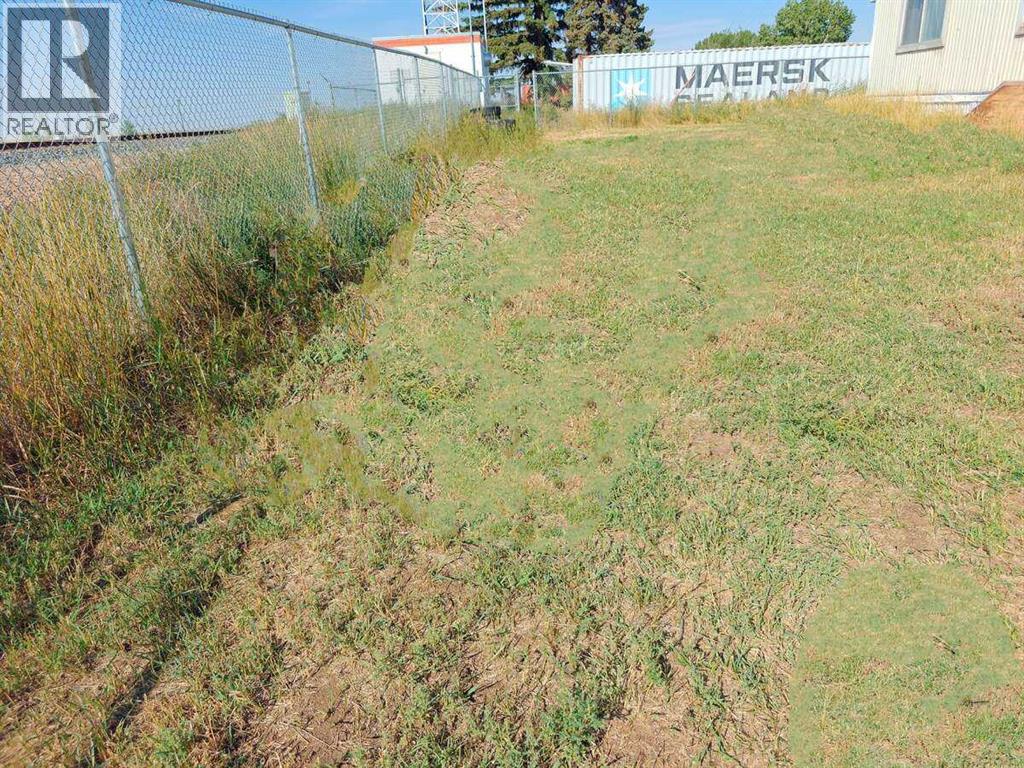 309 1st Avenue, Bassano, Alberta  T0J 0B0 - Photo 15 - A2190171