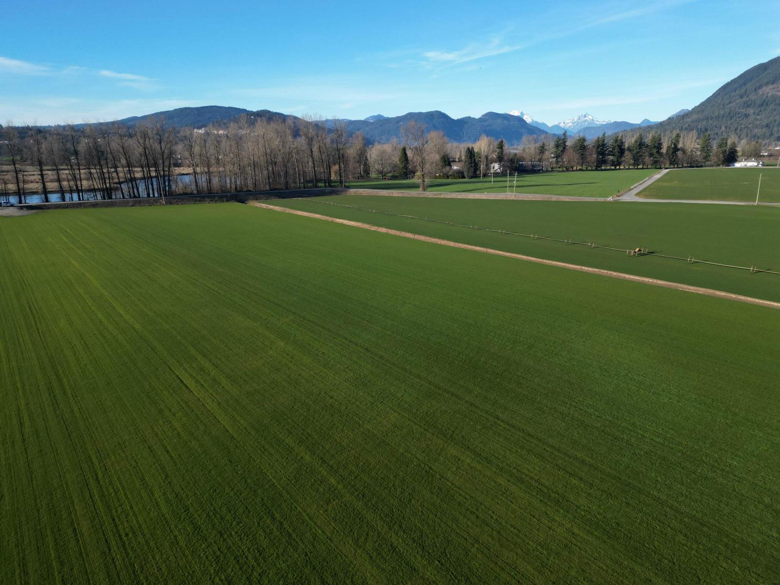 103ac Hyde Buker Road, Mission, British Columbia  V0M 1H0 - Photo 6 - R3080460