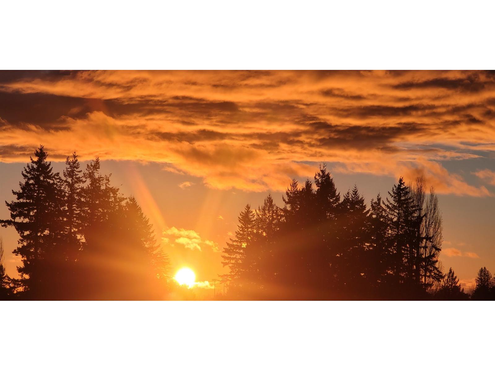 516 27218 Aldergrove Town Center Drive, Langley, British Columbia  V4W 0E4 - Photo 36 - R3077084