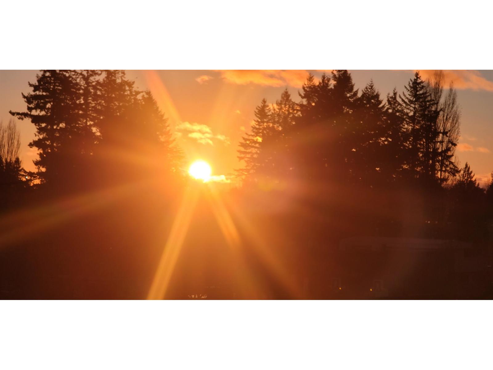 516 27218 Aldergrove Town Center Drive, Langley, British Columbia  V4W 0E4 - Photo 34 - R3077084