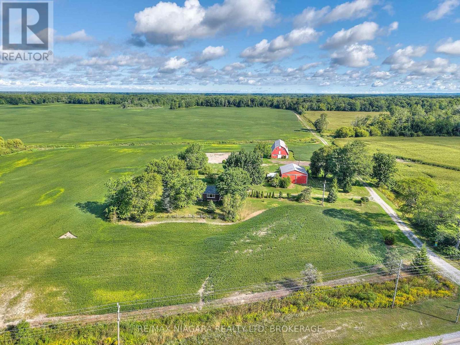 32626 Clarendon Street W, Wainfleet, Ontario  L0S 1V0 - Photo 9 - X12719540