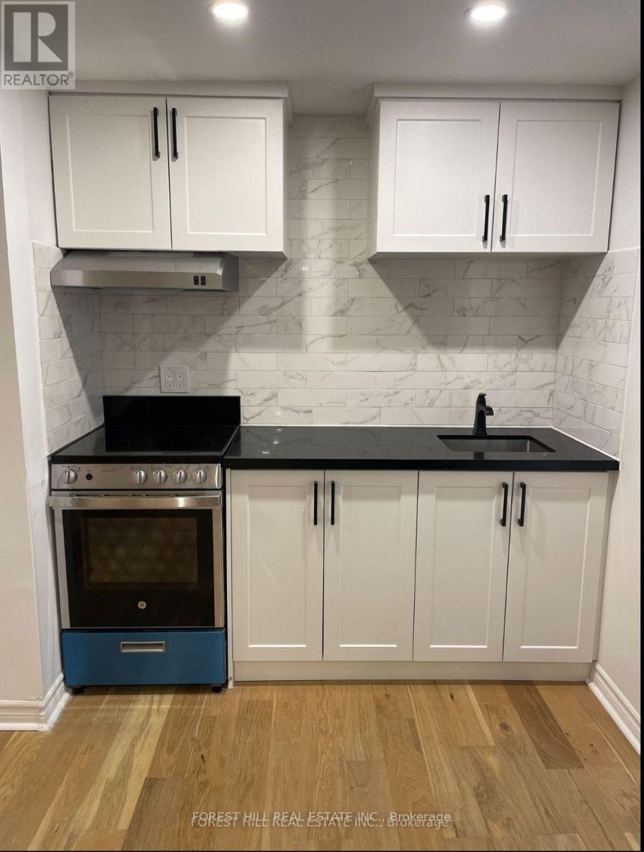 Basement - 52 Adventure Crescent, Vaughan, Ontario  L6A 2Z8 - Photo 2 - N12719574