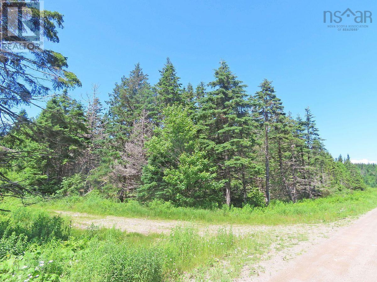 20 Acres Upper Grand Mira Road, Upper Grand Mira, Nova Scotia  B1K 1M1 - Photo 13 - 202513002