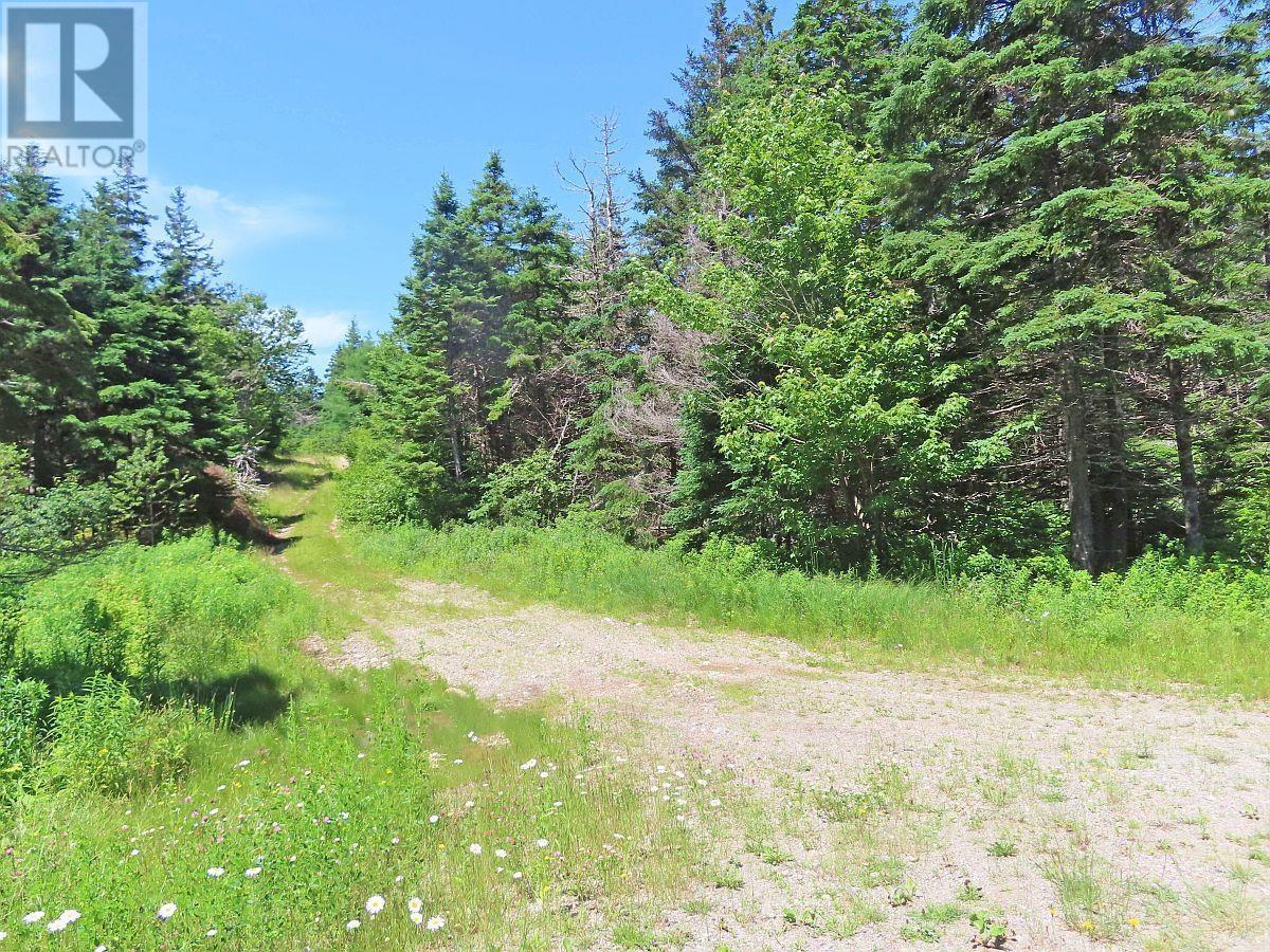 20 Acres Upper Grand Mira Road, Upper Grand Mira, Nova Scotia  B1K 1M1 - Photo 14 - 202513002