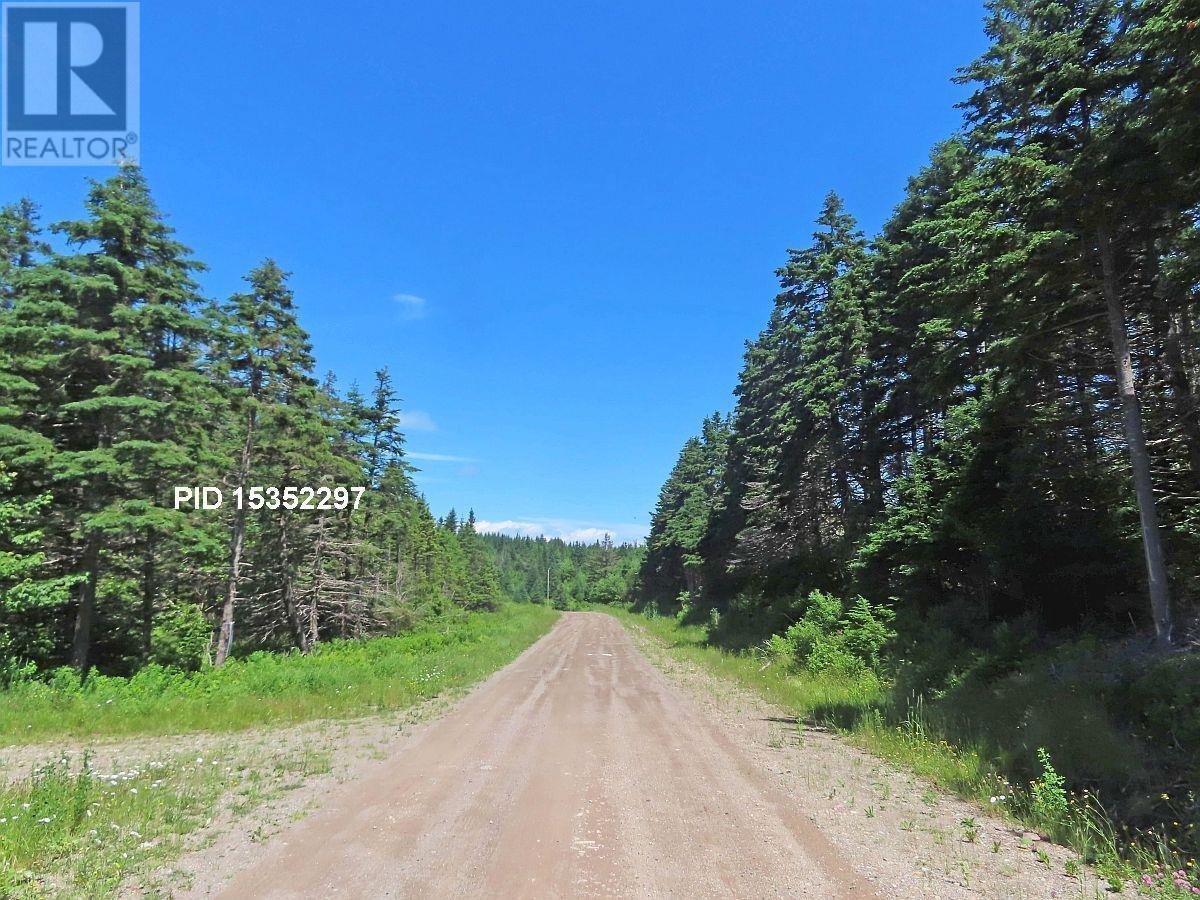 20 Acres Upper Grand Mira Road, Upper Grand Mira, Nova Scotia  B1K 1M1 - Photo 15 - 202513002