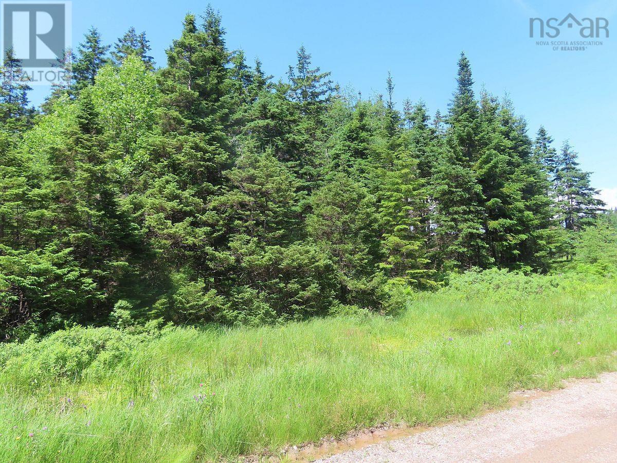 20 Acres Upper Grand Mira Road, Upper Grand Mira, Nova Scotia  B1K 1M1 - Photo 3 - 202513002