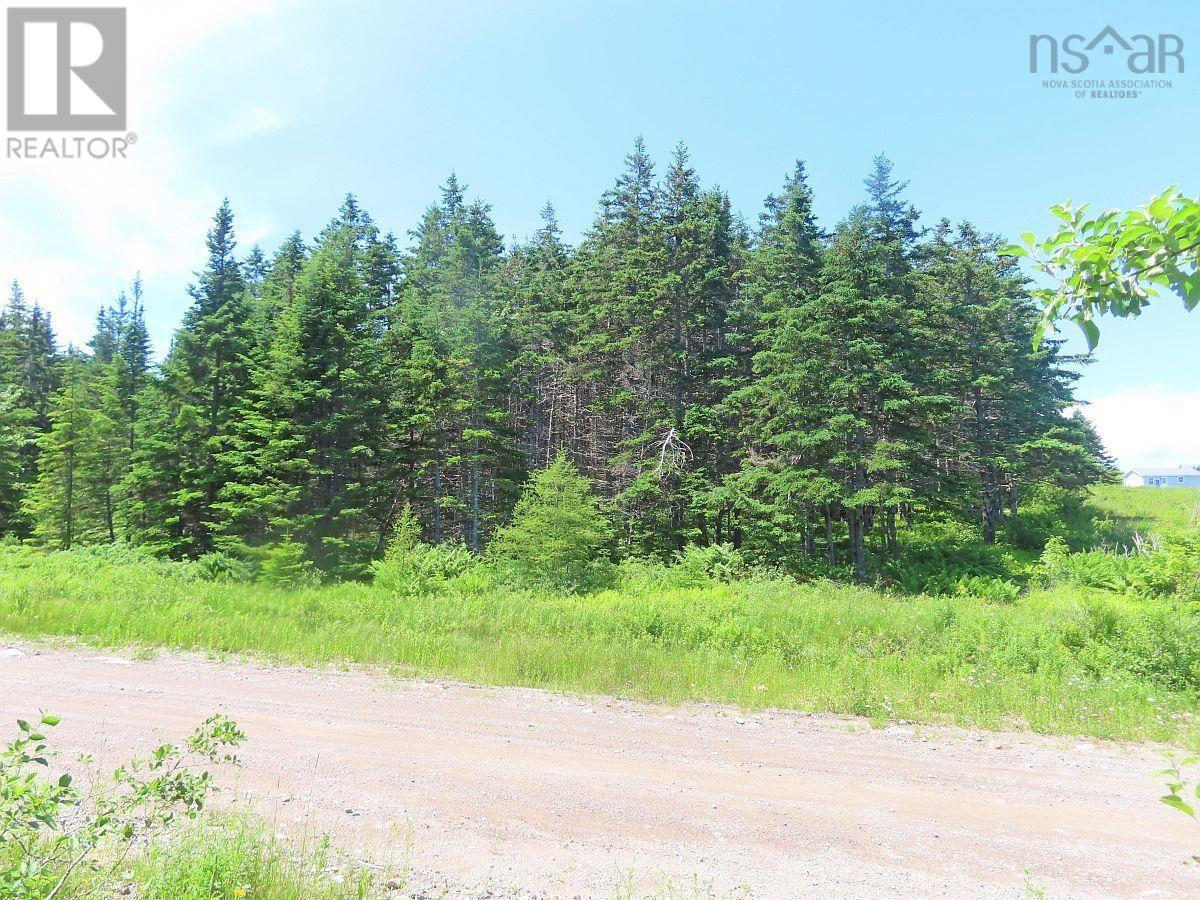 20 Acres Upper Grand Mira Road, Upper Grand Mira, Nova Scotia  B1K 1M1 - Photo 5 - 202513002