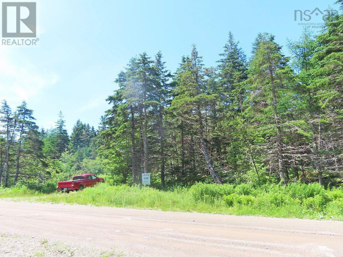 20 Acres Upper Grand Mira Road, Upper Grand Mira, Nova Scotia  B1K 1M1 - Photo 6 - 202513002
