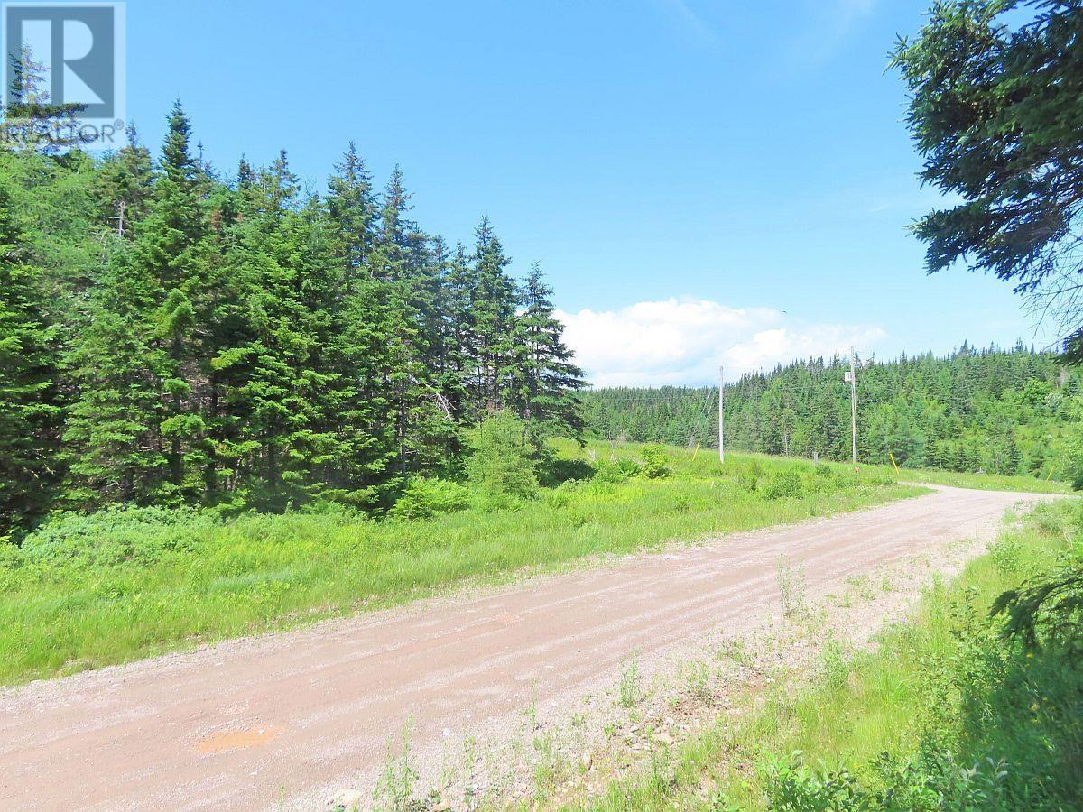 20 Acres Upper Grand Mira Road, Upper Grand Mira, Nova Scotia  B1K 1M1 - Photo 7 - 202513002