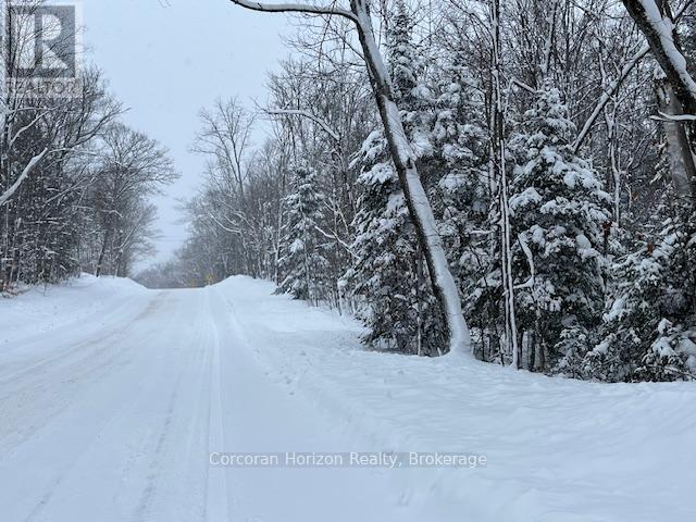 102 Black Road, Seguin, Ontario P2A 0B2 - Photo 12 - X12719718