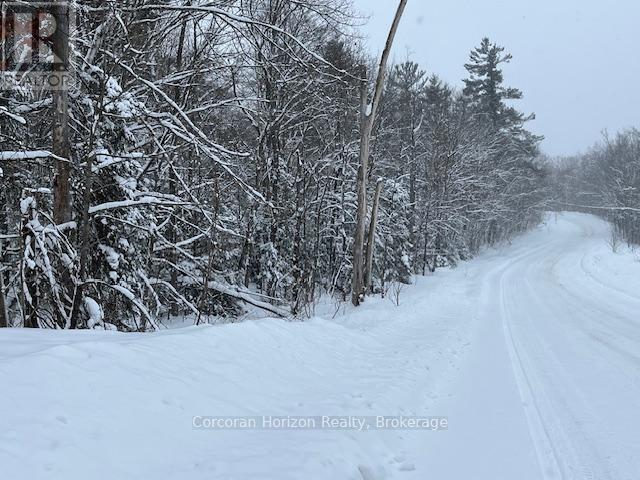 102 Black Road, Seguin, Ontario P2A 0B2 - Photo 13 - X12719718