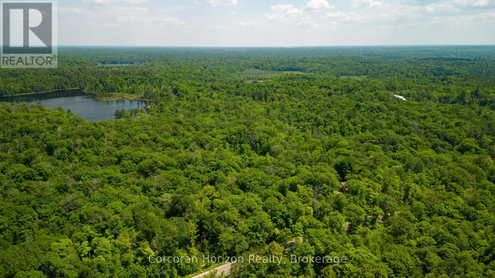 102 Black Road, Seguin, Ontario P2A 0B2 - Photo 6 - X12719718